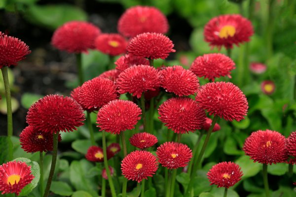 Bien utiliser le papier peint pour agrandir visuellement une pièce